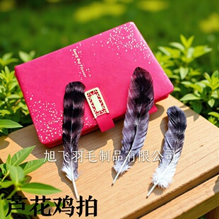 �J���u����ë13-20���ֻ��y��ë��ˇƷñ���b����Ұ�uë��Ȼ