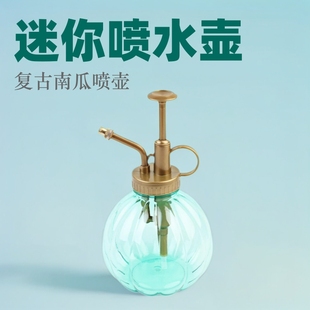 Hengcheng Watering Pot ins Style Vintage Pumpkin Watering Pot Shower Sprinkling Fleshy Gardening Tools Mini Sprinkling Pot Sprinkling Pot