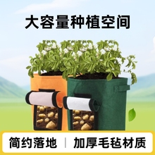 毛毡育苗袋种植桶 亚马逊圆形加厚无纺布大容量育苗袋毛毡种植桶