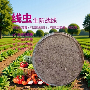 �r�I�����ϔM��ù���Y���x΢���������������N����ø�������߾�