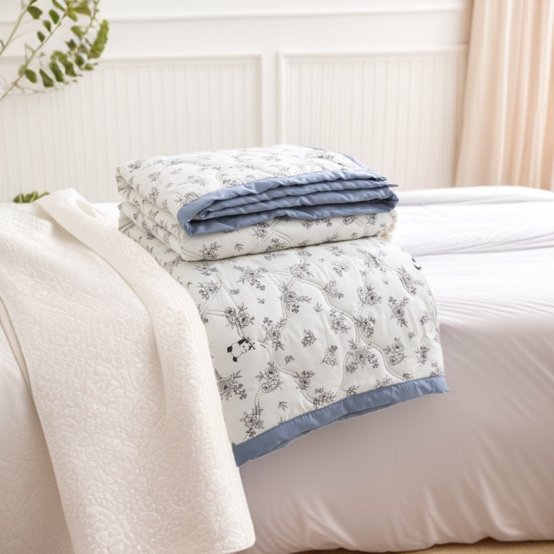 Air Conditioning Quilt, Summer Cooling Quilt, Machine Washable, Summer Single/Double Quilt, 2026 New Model, Summer Student Dormitory Thin Quilt, Cross-Border