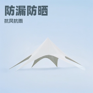 Canopy Outdoor Camping Camping Park Courtyard Barbecue Activities Wedding Venue Beach Sun Protection Rain Protection Umbrella Shed