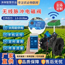 ̫ܹһһһضrIh̿ƹȟo}_늴y