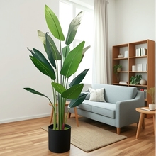 ���W�L����Gֲ�����B�����҃��b[����ֲ�����˽���ؼ٘��辰