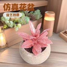羳з۶ֲ辰滨ڼֲ