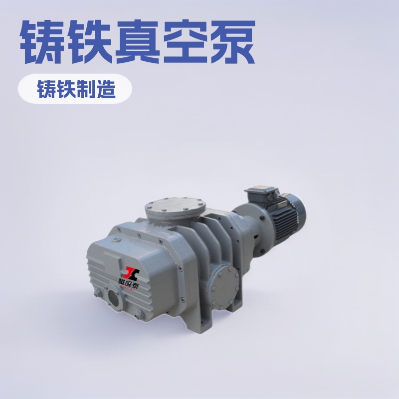 嘉兴VJP250系列水环真空泵 铸铁不锈钢真空泵配套罗茨机组真空泵