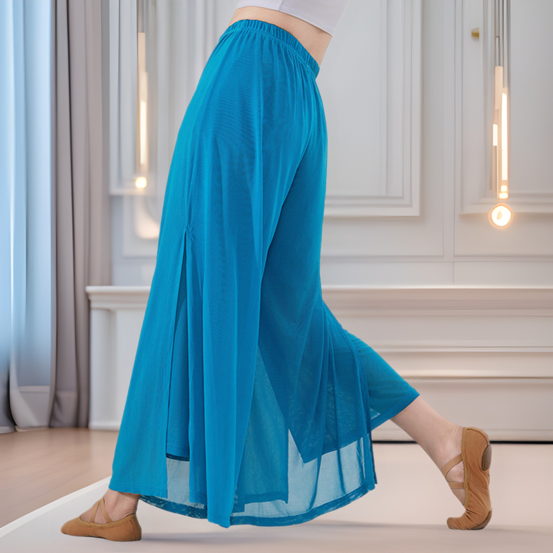 Modern Dance Pants Dance Clothes Chinese Dance Performance Suit Women's Elegant Training Suit Wide Leg Pants Classical Dance Practice Suit