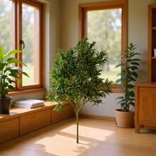 ӭ���ɷ�����֦�������_�h�����R���bGֲ���҃�������滨��