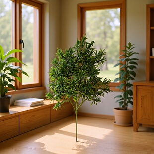 ӭ���ɷ�����֦�������_�h�����R���bGֲ���҃�������滨��