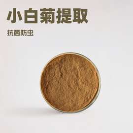 小白菊提取物厂家批发小白菊内酯纽扣菊提取物粉菊花提取物