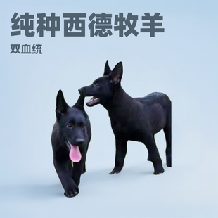 ���ۼ��N�|������Ȯ��Ȯ���w�pѪ�y�|�¹���Ȯ�o�lȮ��Ȯ����Ȯ