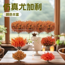 �羳�＾ϵ����Gֲ�ȼ����������ϼٲ軨�ݑ������Ԉ@ˇ�b��쾰