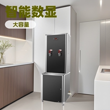 热水机校园公共饮水机步进式开水器开水机大通量开水饮水即烧即热