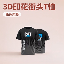3D����īˮ��T�������ھ��CATŷ����ͷT������վ��������Բ��