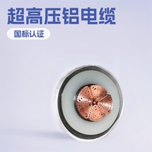 �X��| _ZR-YJLLW02-64/110KV-1X1000��ȼ� �����|