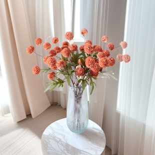 ��ɫ5�^�A�[���ѹ�Ӣ��Y�͏d�b�����ƹ����ս�����ɫС�����