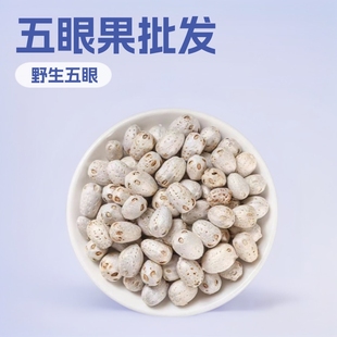 ���l�������۹� ����ɢ�� �o���� ������ͨ ����ă�Ұ���B����