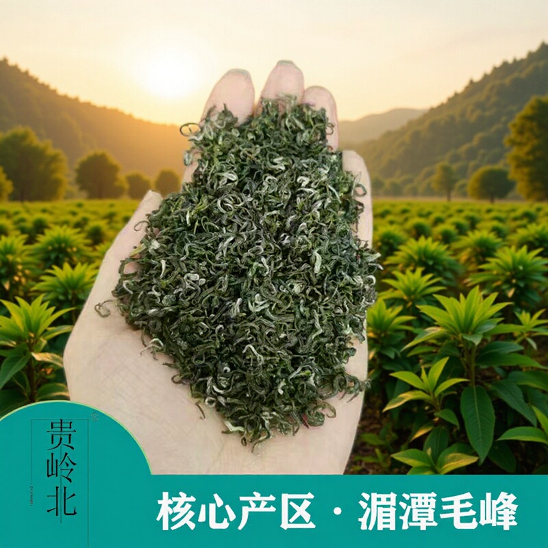 Guizhou Cloud Mist Green Tea, Packaged, Direct Sales from the Core Producing Area of Meitan, Organic Green Tea, Spring Tea, Pre-Rain Tea, with a Fresh Aroma