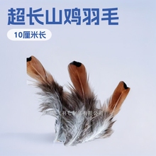 养殖山鸡大点10厘米以上特别长野鸡毛diy流行手工饰品羽毛大点毛