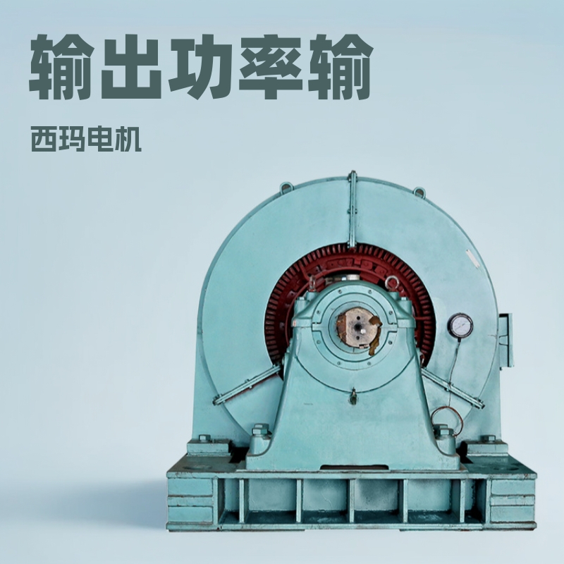 TK3800-20/2600 3800KW 10000V/西玛同步电机