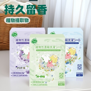 Large-Size Plant-Based Laundry Detergent Tablets, Direct Sales from Manufacturer, Wholesale Box of 60 Tablets, Large-Size Laundry Detergent Tablets