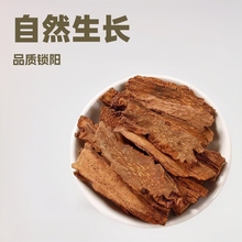 și500gƬɹŽiƬݾiꖷвșݱl