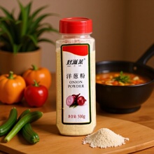 好滋莱洋葱粉500g 洋葱浓汤调味香料去腥烧烤烤肉铁板烧西餐商用
