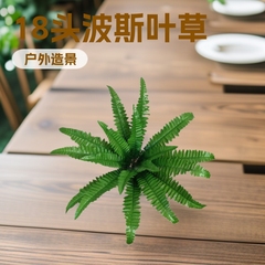 18头绿植大波斯叶蕨草户外尖尾波草布置婚庆道具摆件造景户外造景