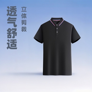 Customized Work Clothes Lapel Short-Sleeved T-Shirt Printed Logo Advertising Shirt Cultural Shirt Polo Shirt Corporate Work Clothes Embroider