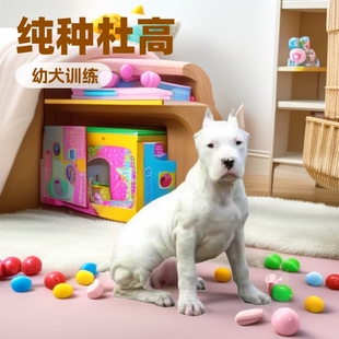 ���N�Ÿ���Ȯ���w ���l�r���﹤��Ȯ����Ȯ��������