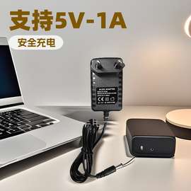现货厂家供应 5V1A美规欧规电源适配器充电器通用