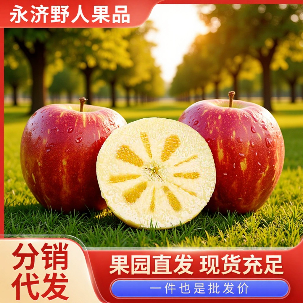 Shanxi Red Fuji Apples 5kg Pack Whole Box Wholesale Seasonal Fresh Fruit with Crisp, Sweet and Juicy Flesh, Freshly Picked from the Orchard