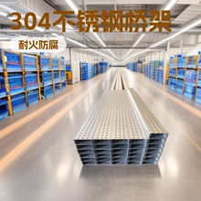 不锈钢桥架厂家批发300*100托盘式电缆桥架耐火防腐304不锈钢桥架