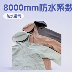 高版本台州鸟家Beta贝塔Jacket硬壳冲锋衣连帽外套夕雾粉迷彩