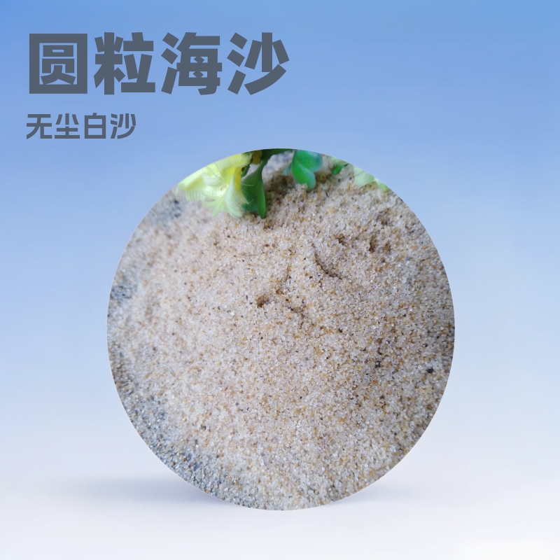 儿童圆粒石英砂水洗无尘白沙沙滩细沙哈尔滨游乐场游乐园沙池海沙