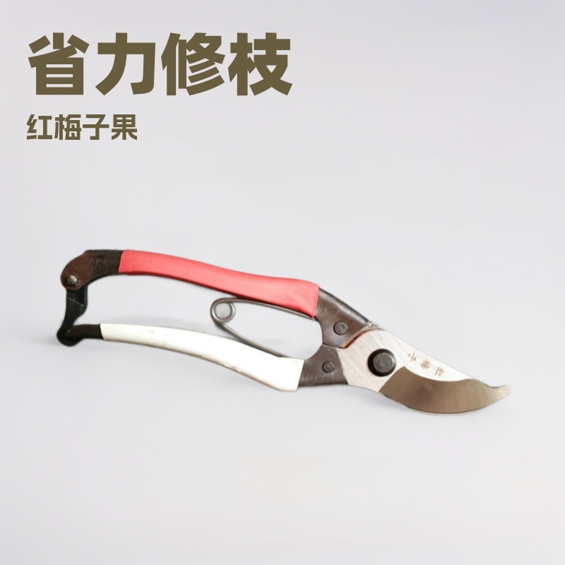 红梅子果枝剪 省力修枝剪刀 园艺剪刀 修花剪刀 蒜剪枝条