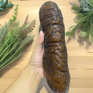 ��Ԫ���������������������������ʳ�����ݰl���������󺣅�