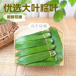 ���~�V�������~��̖�Fժ�̼��ö��繝�ش�â�~���������l���r���~