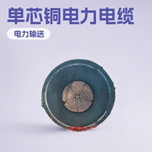 ���u�L��110KV�����| 1*500���~����о