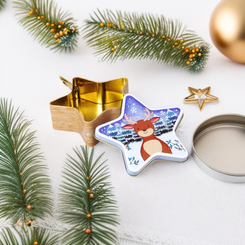 源头厂家 优惠供应精美马口铁ML-1399星形铁盒(图)