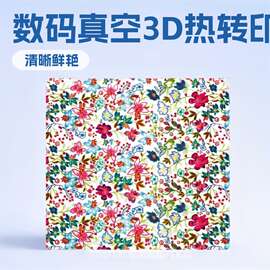数码真空3D热转印花膜13729364056欢迎来电咨询