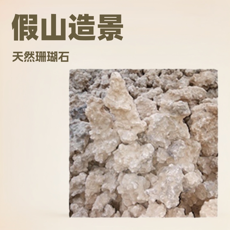 海水珊瑚石 死石生物石海水石头水族箱鱼缸造景假山珊瑚石