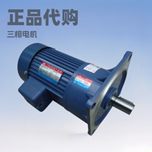深圳供应正品台湾东力齿轮减速马达PL22-400-60S交流调速电动机