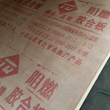 ������ȼ�h�����Ӱ���ȼ�弚ľ�������Ͱ�A�幤�̰���ȼ�z�ϰ�