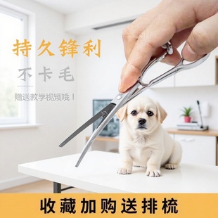 Pet Scissors, Curved Scissors, Hairdressing Scissors, Hairstylist Hair Cutting Stainless Steel Tools, Hair Cutting Scissors, Pet Grooming Scissors