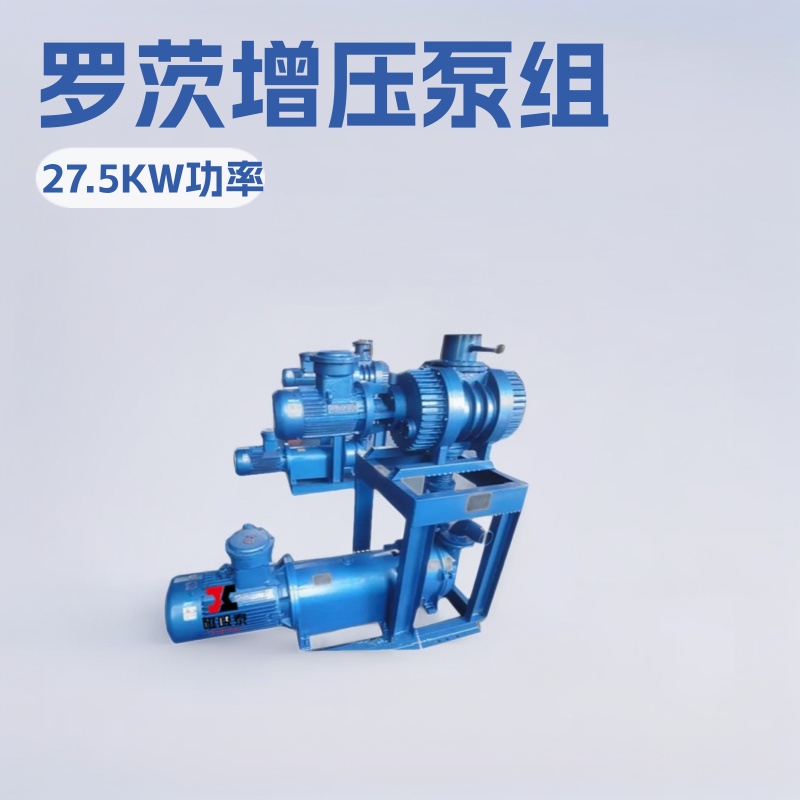 JZJ2S600-2A水环真空机组ZJP600罗茨增压泵	2SK-12真空泵27.5KW