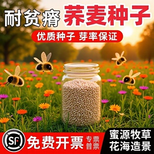 �N�����w�����w���t����������С��������������