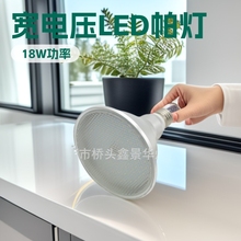 PAR38 18W ѹ 85-265V LED LED PARϵ