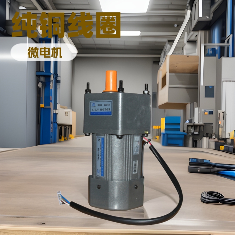 现货VTV电动机交流微型小电机30W 24V1800转 异步小马达 微电机