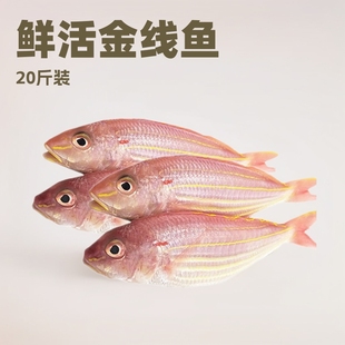 �r���ك���ួ��~ 20��t���~�t���~ �̳����l����ԃ�rһ��؛Դ